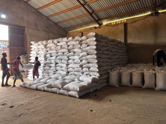 We’re Back in the Warehouse! Preparing Quality Nigerian Sesame Seeds for the Global Market